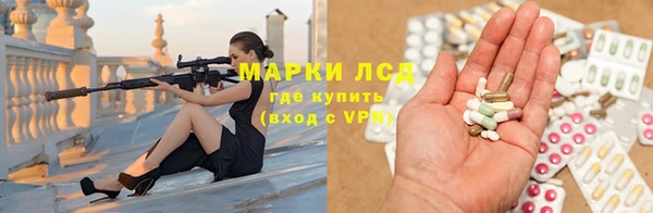 apvp Инсар