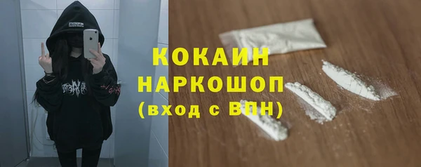 apvp Инсар