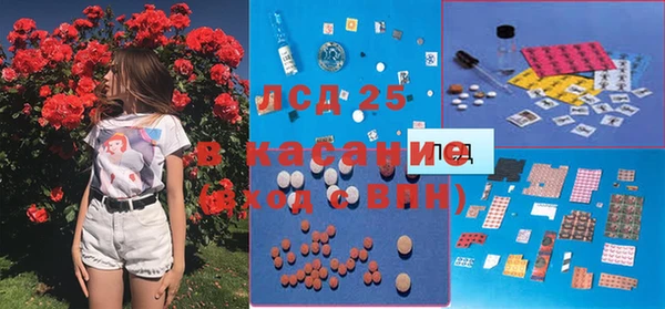 apvp Инсар
