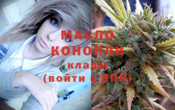 apvp Инсар